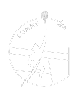 Lomme Lille Métropole Handball